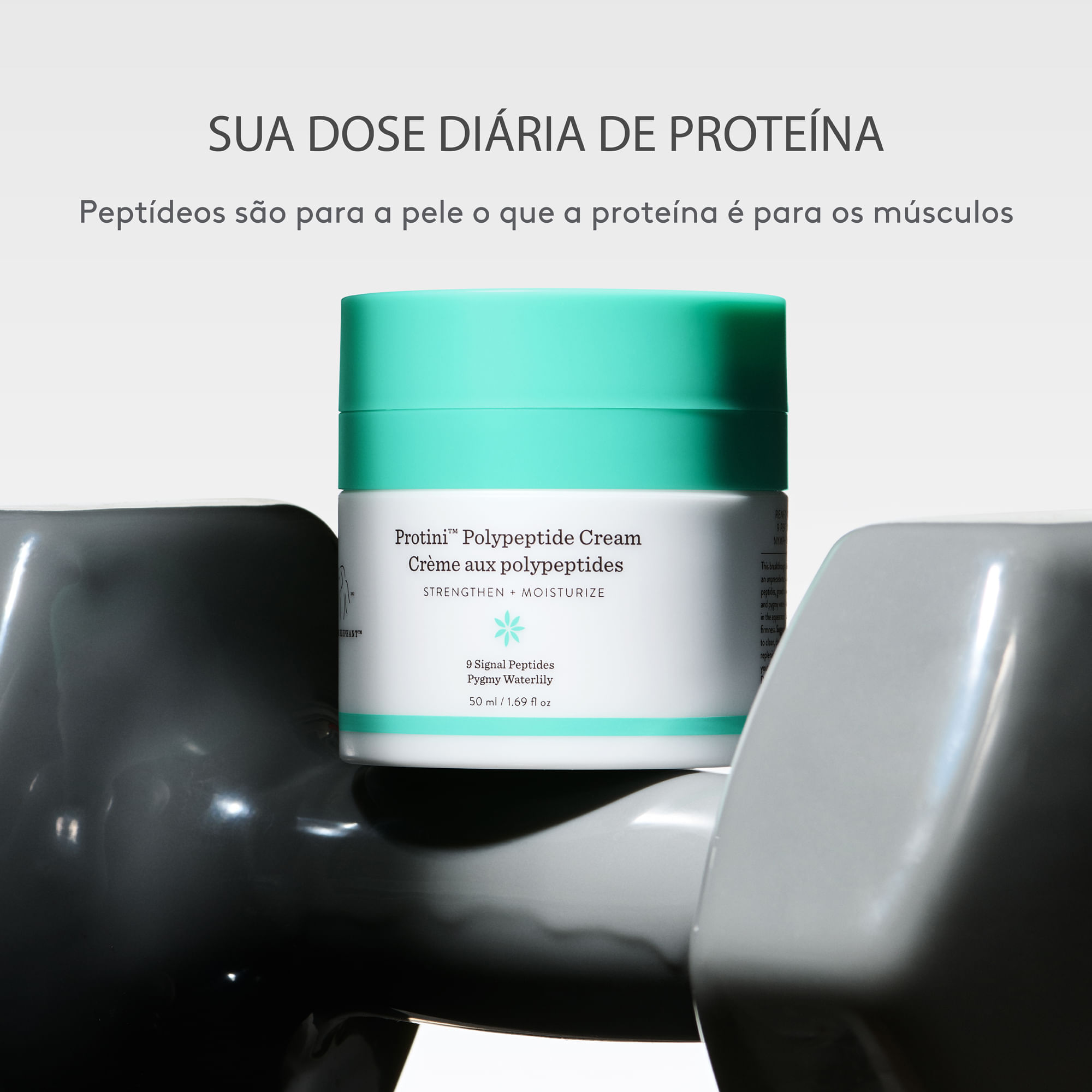 imagem-6