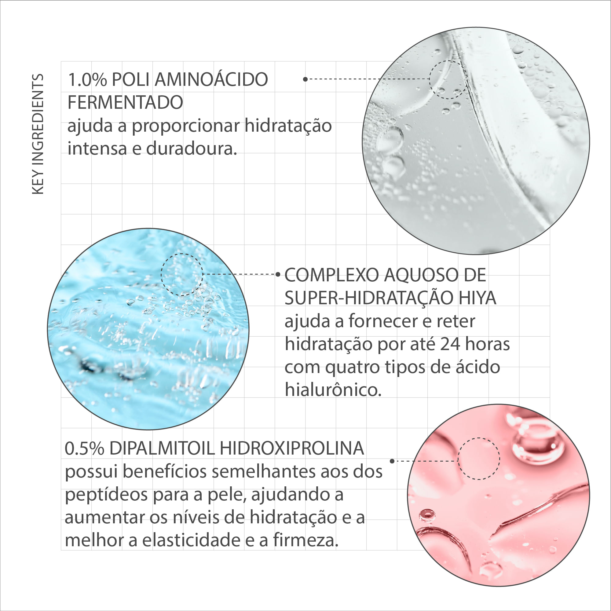 imagem-6