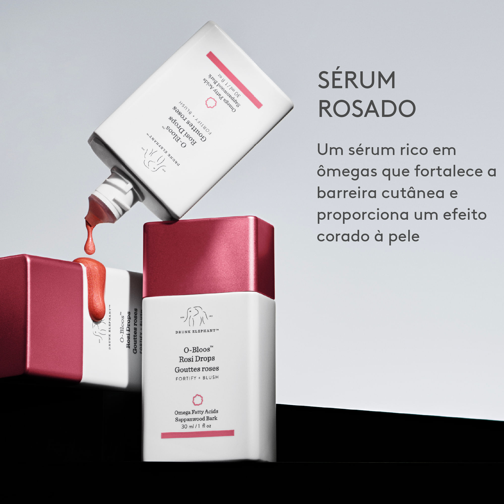 imagem-2